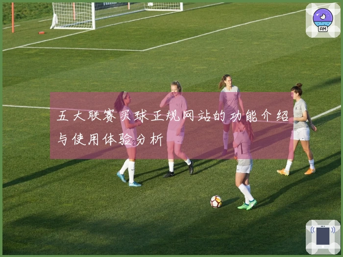五大联赛买球正规网站的功能介绍与使用体验分析