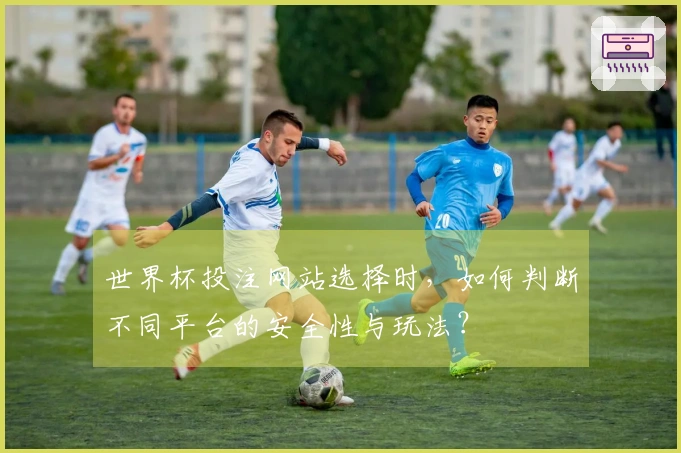 世界杯投注网站选择时，如何判断不同平台的安全性与玩法？