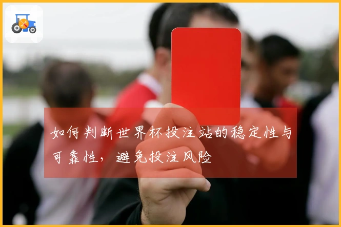 如何判断世界杯投注站的稳定性与可靠性，避免投注风险