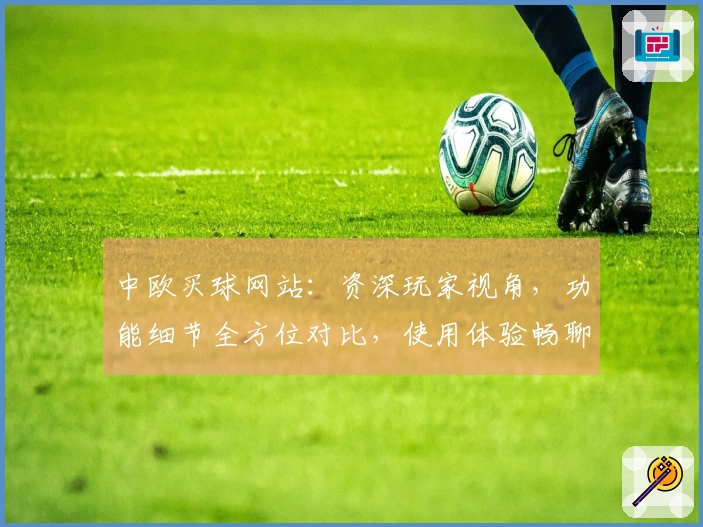 中欧买球网站：资深玩家视角，功能细节全方位对比，使用体验畅聊