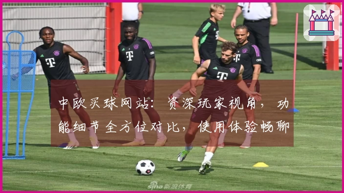中欧买球网站：资深玩家视角，功能细节全方位对比，使用体验畅聊