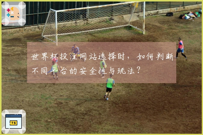 世界杯投注网站选择时，如何判断不同平台的安全性与玩法？