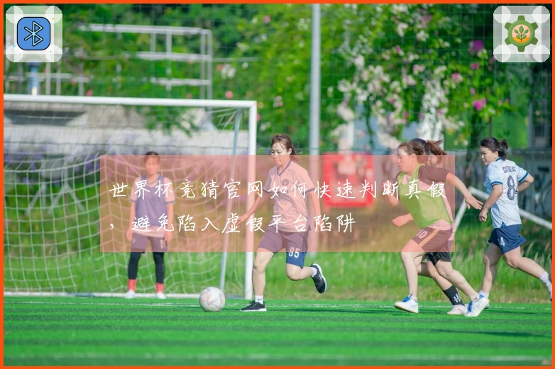 世界杯竞猜官网如何快速判断真假，避免陷入虚假平台陷阱
