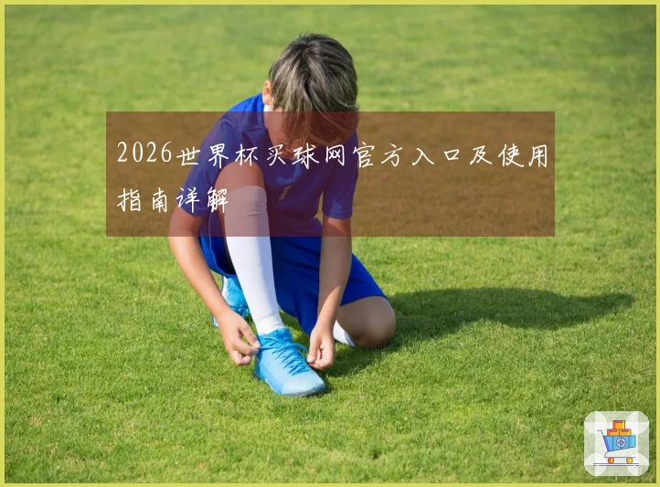 2026世界杯买球网官方入口及使用指南详解